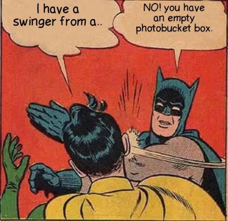 Batman Slapping Robin 2.jpg