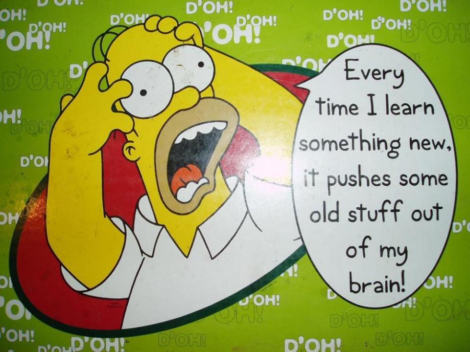 homer_simpson_the_meaning_of_life_1_0.JPG